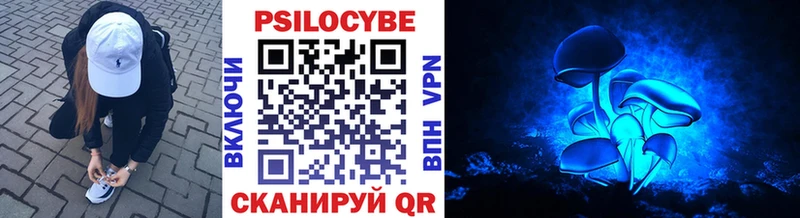 Псилоцибиновые грибы прущие грибы Балтийск